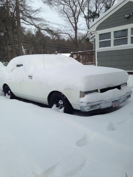 caprice in snow