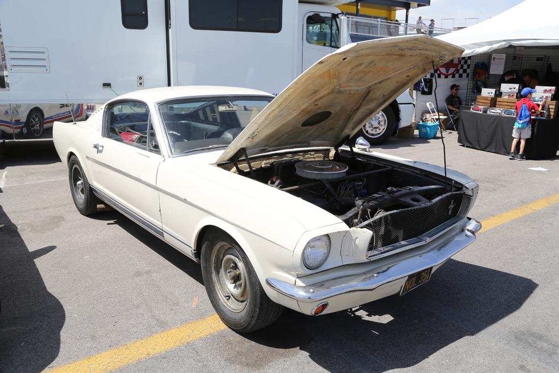 The Mustang 50th Anniversary Party – Las Vegas Motor Speedway – The King Of The Pony Cars Is Honored!