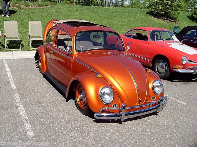 bs beetle3