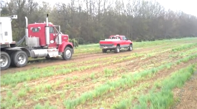 Managed To Get Your Kenworth Stuck? Call In A Cummins Dodge!