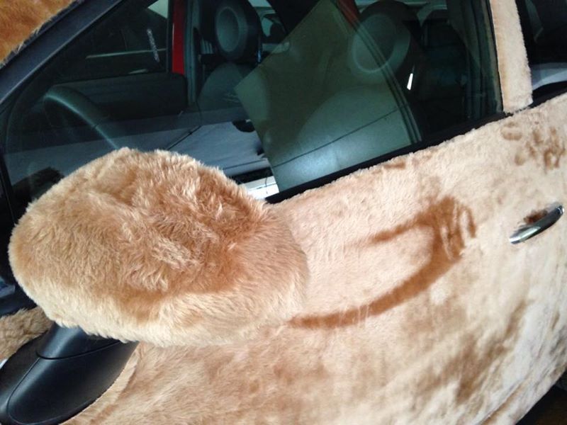 The WTF? Files: This Furry Fiat 500 Takes The Cute