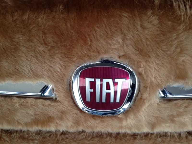 The WTF? Files: This Furry Fiat 500 Takes The “Cute Car” Thing Too Far