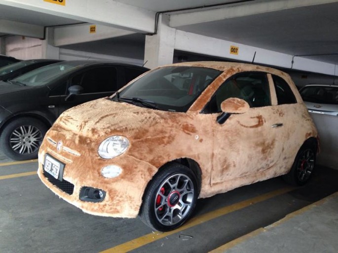 fluffy fiat 4