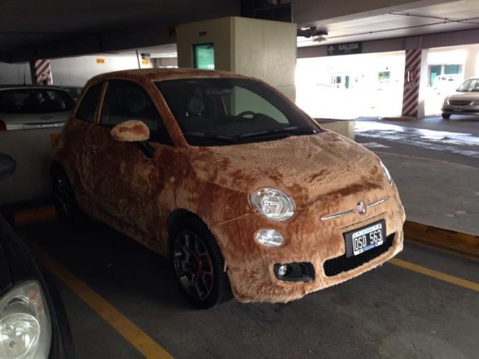 fluffy fiat 5