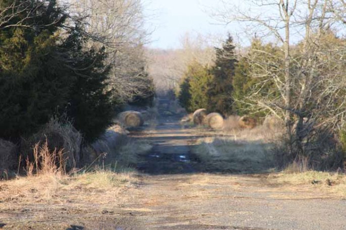 louisa county drag strip001