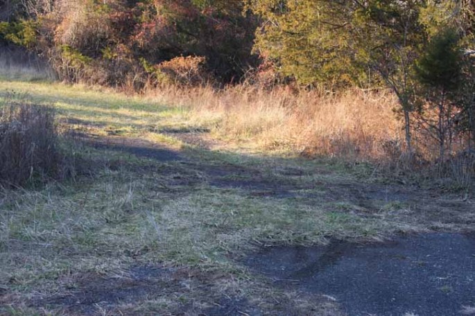 louisa county drag strip010