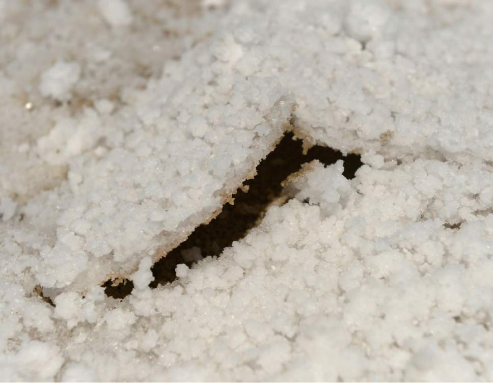 Is Bonneville Speed Week 2015 Already Doomed? The Salt Lake Tribune Thinks So