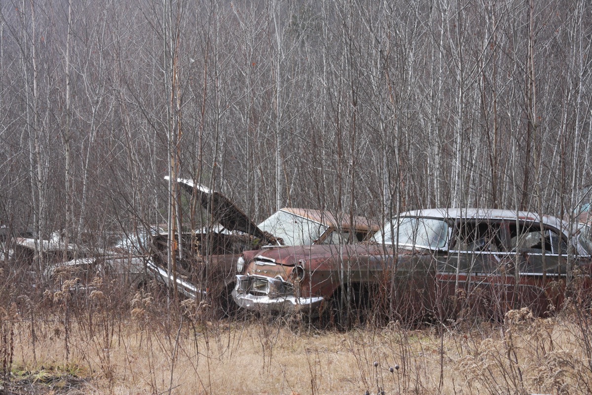 Gates Auto Salvage Tour: More Automotive Archeology From The Woods Of Vermont