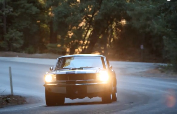 This 1965 Ford Mustang Fastback Is The Genesis Point For An SCCA Spec Mustang Racer!