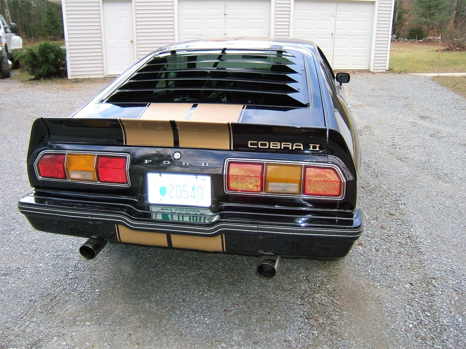 1976 mustang cobra engine