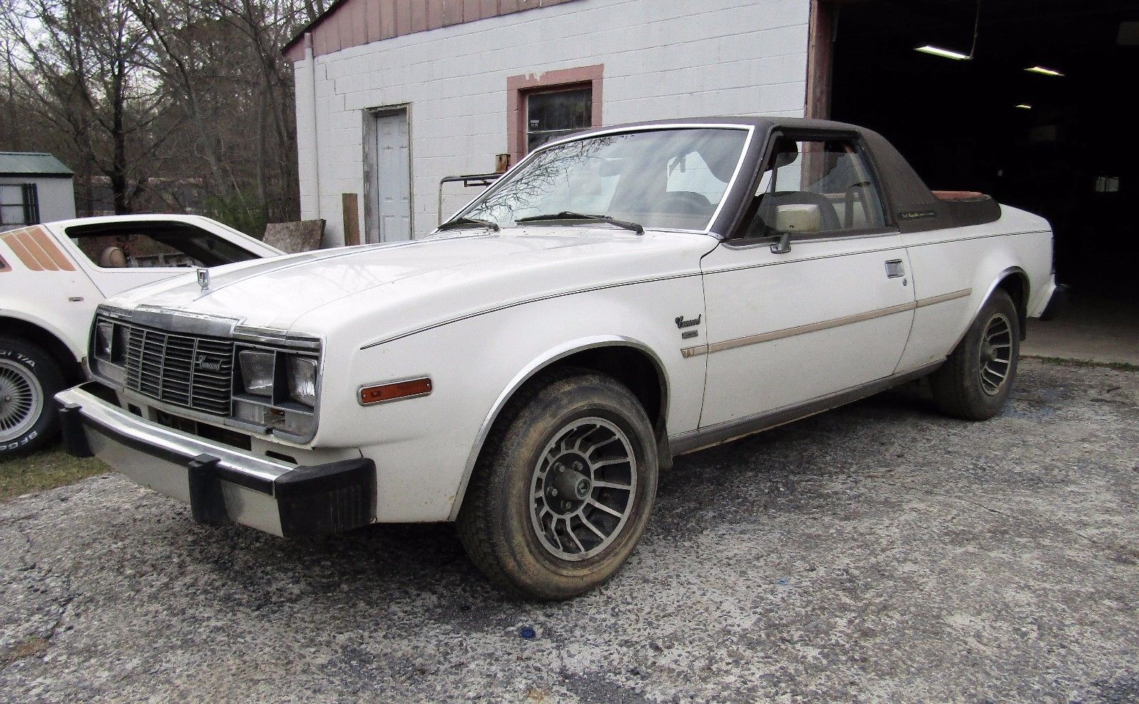 With A Hint Of English Leather: This 1982 AMC Concord Sundancer Is A Classy Bandit!