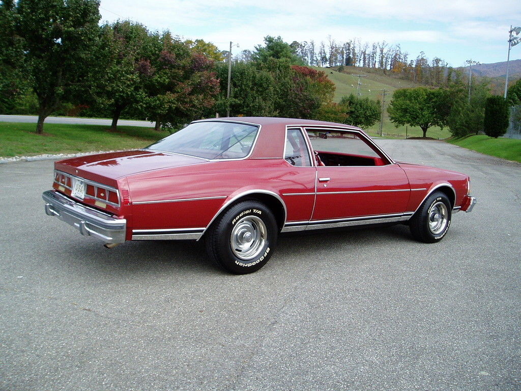 1977 Caprice Engine