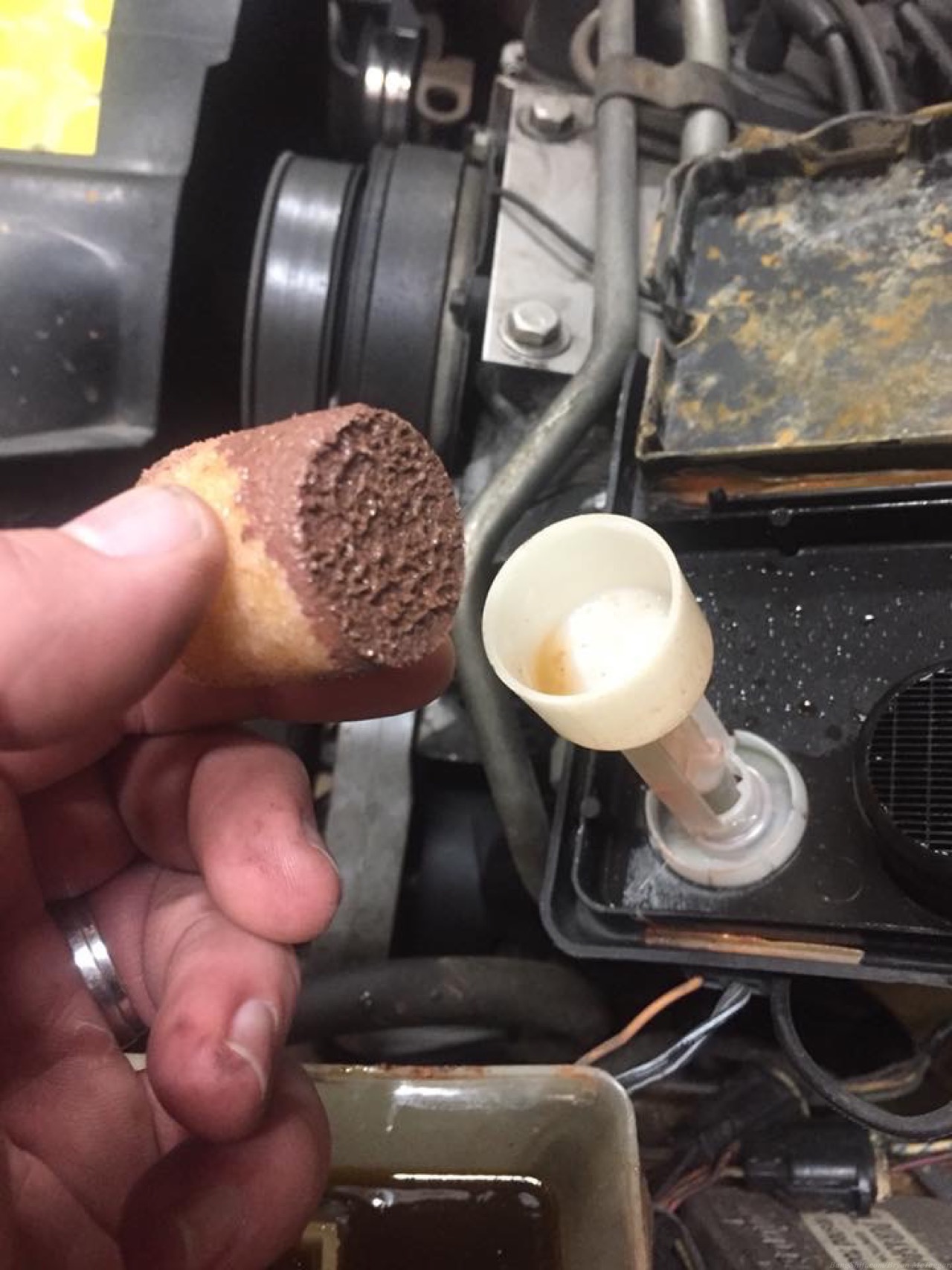 BangShift Question Of The Day: What’s The Grossest Substance You’ve Encountered While Wrenching?