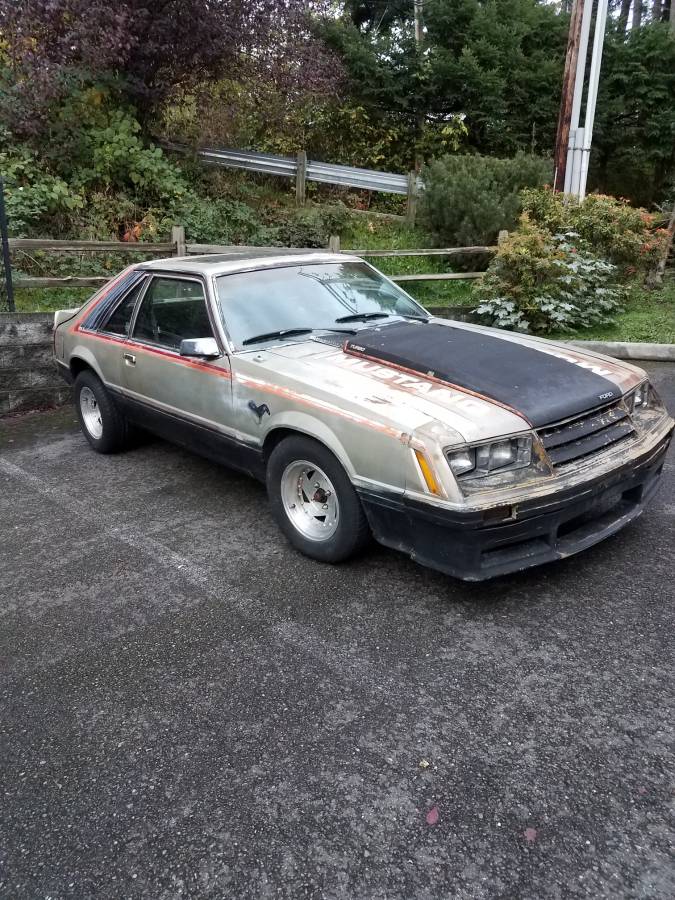 Rough Start: A Ratty Muscle 1979 Mustang Indy Pace Car