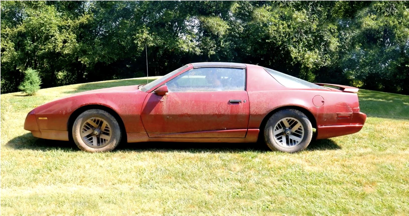 The Homecoming Rescue: Waking Up A 1991 Firebird After Years Of Sitting