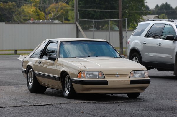 Clean and Mean: This 1988 Mustang LX Has A ProCharged Small Block Ford Under The Hood and Not A Hair Out Of Place