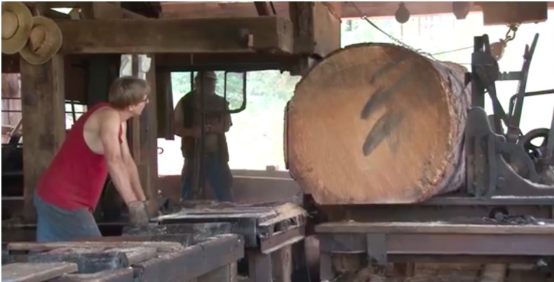 Awesome Video: Sawing Up A Massive Ponderosa Pine Log in A Steam Powered Saw Mill