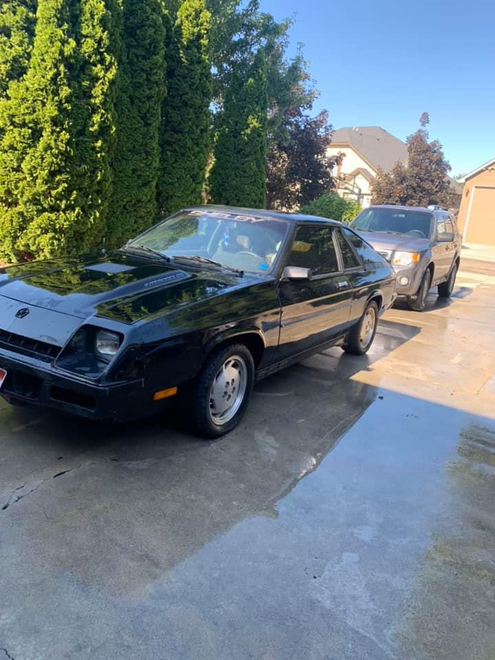 Rough Start: 1987 Shelby Charger GLHS – To Daily Or Not To Daily…