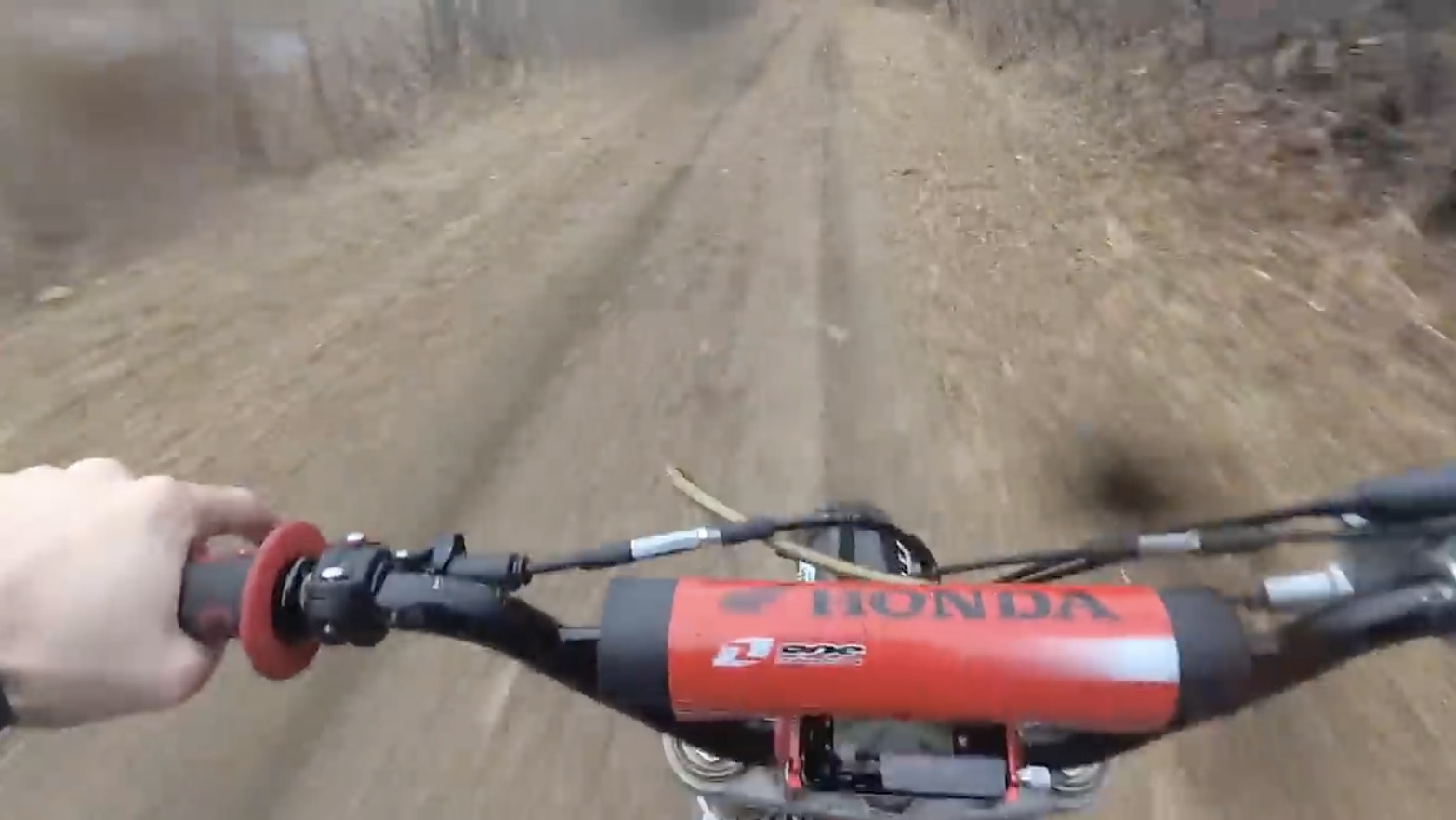 Morning Symphony: A Cheap Pit Bike Crossed With A Honda CRF450 Just Rips!