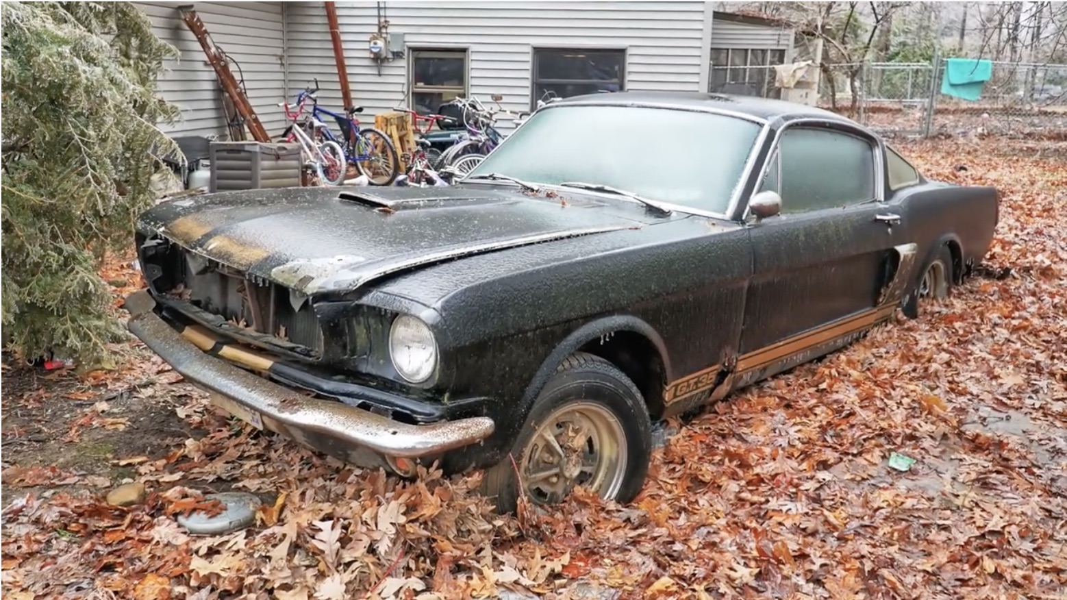 Archaeological Dig: Dragging A 1966 Shelby GT350H From It’s 40-Year Rest…In Ohio.