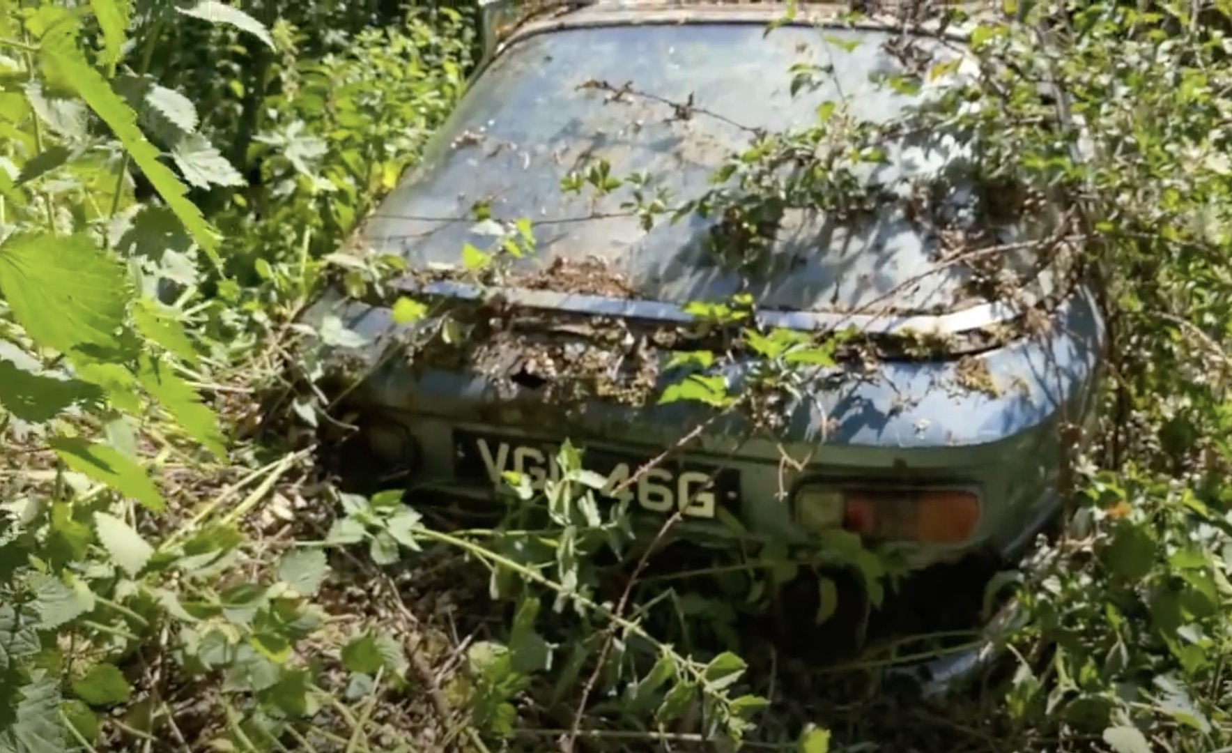 Until Old Age Takes Them Back To The Weeds: Digging Through An Abandoned Junkyard In England