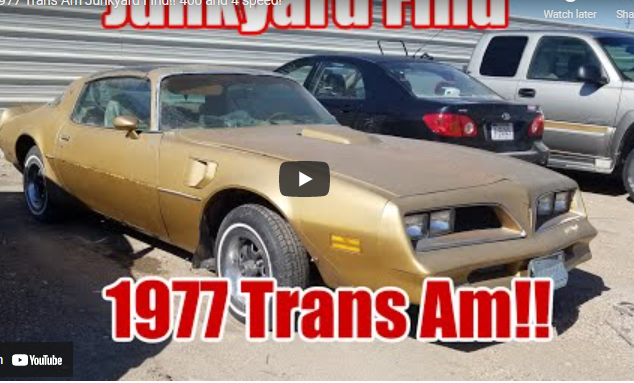 Junkyard Crawl: 1977 Trans Am Junkyard Find!! 400 and 4 speed!