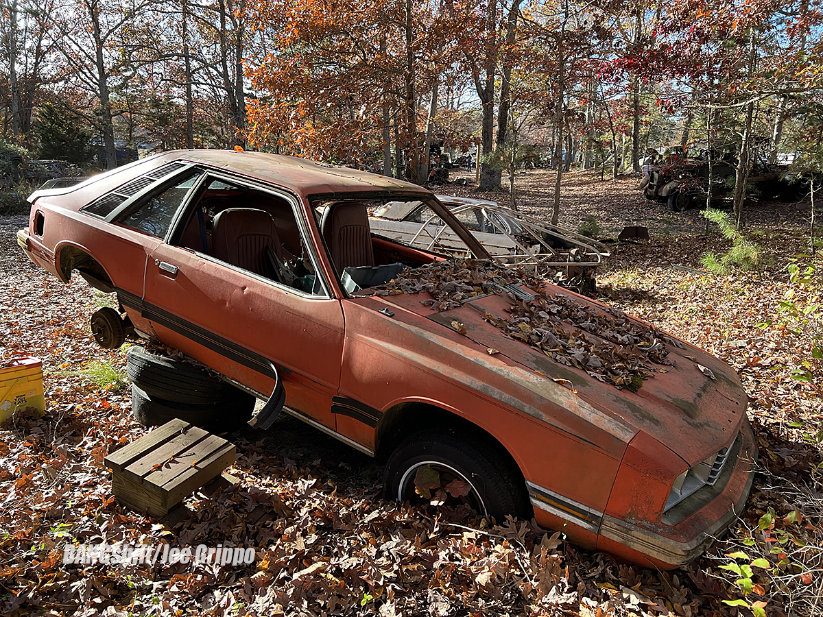 Flemings Pumpkin Run Was Epic! Here Are All The Photos In One Place!