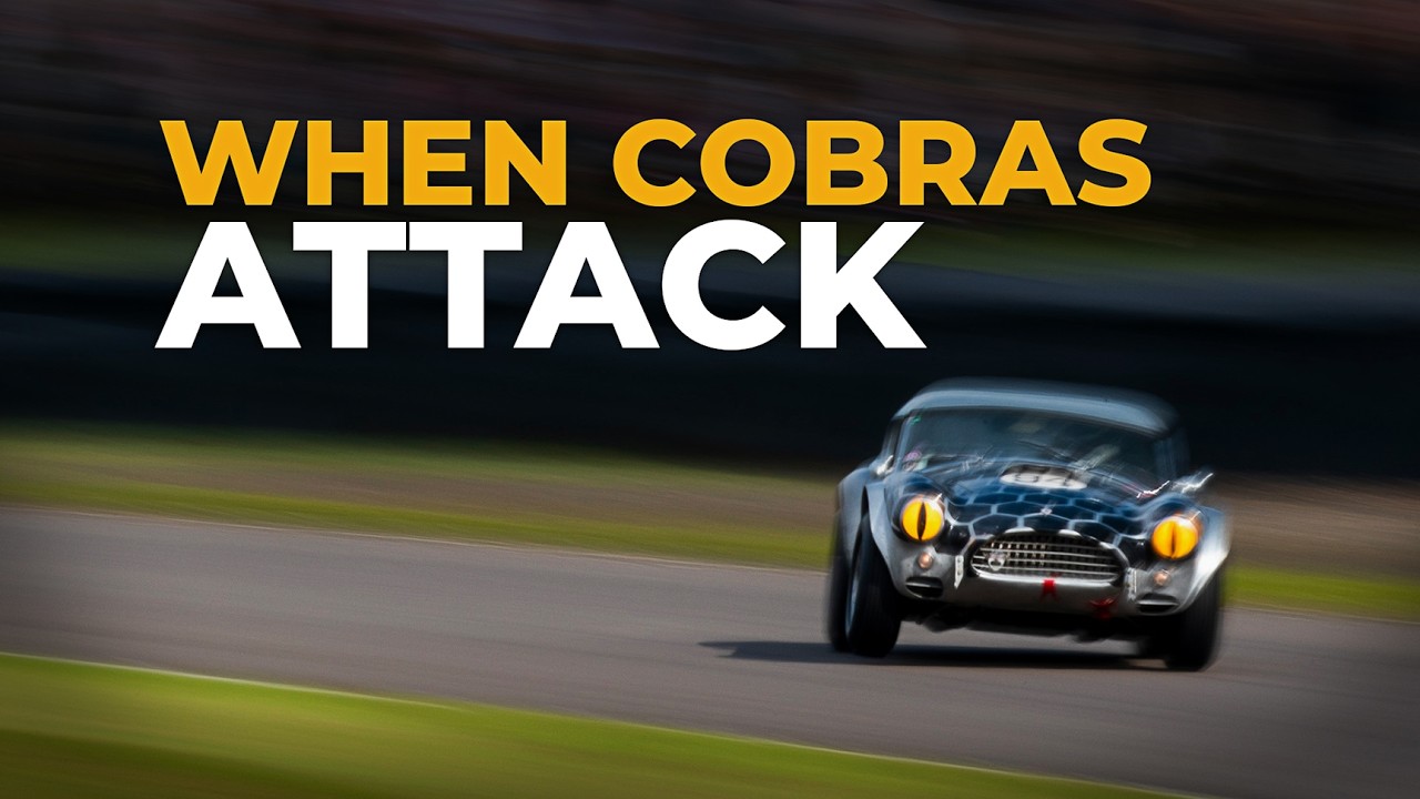 Check Out This One Hour Marathon Of The Best Cobra Battles At The Goodwood Revival