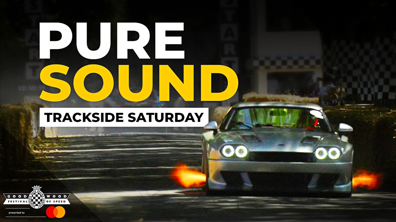 Headphone users beware!  Engine Sounds From The 2025 Festival of Speed | Trackside Saturday Sounds Insane!