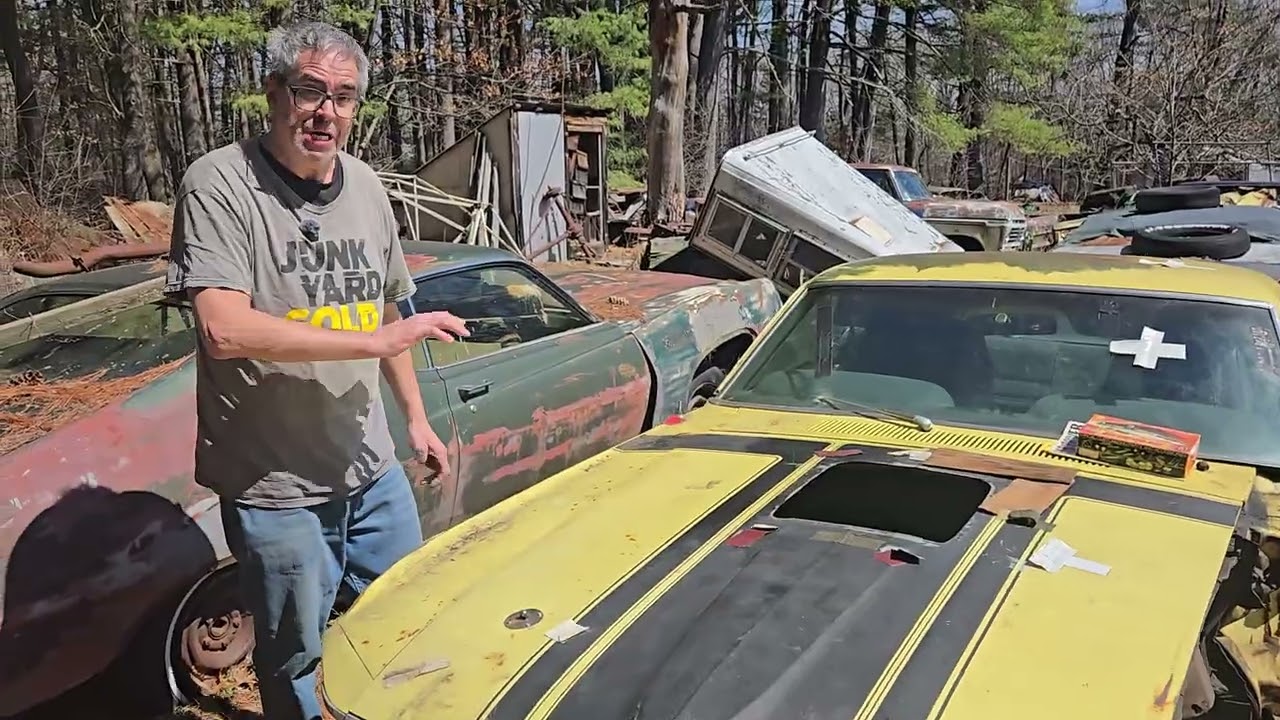 Daily Junkyard Crawl With Steve Magnante: A Real Deal 1970 Boss 302 Mustang! Trans Am Racing Greatness Right Here!